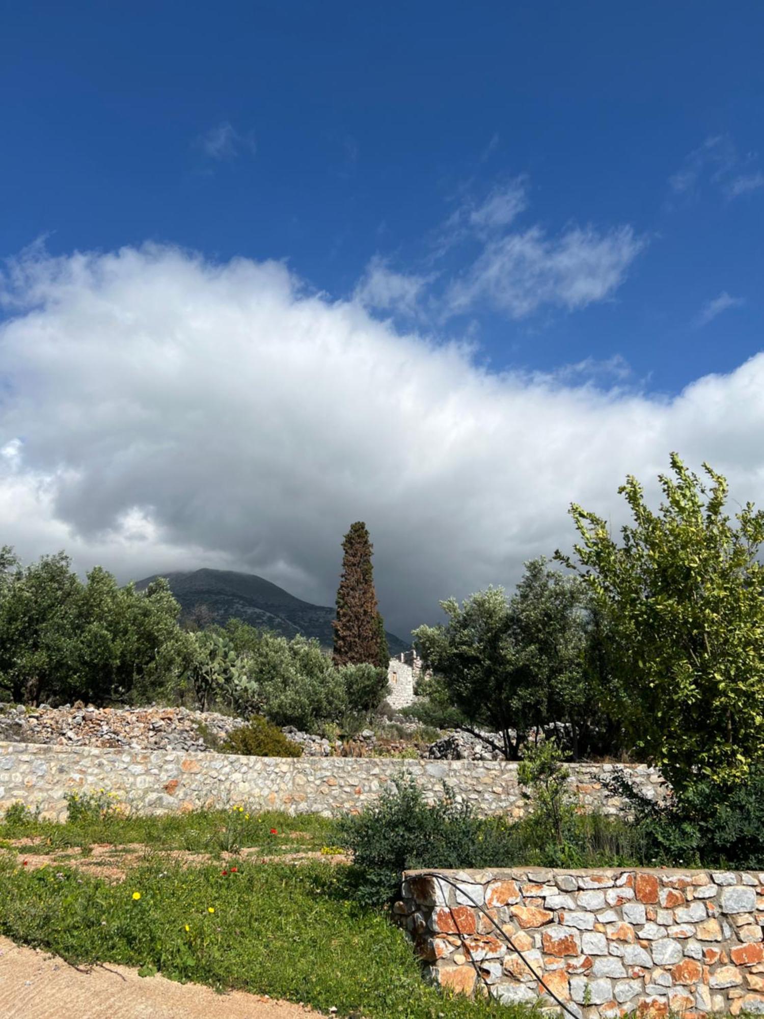 Kafiona Koukouri Village מראה חיצוני תמונה