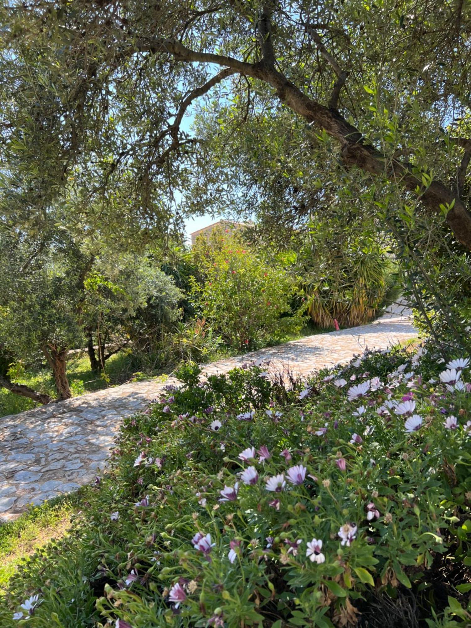 Kafiona Koukouri Village מראה חיצוני תמונה